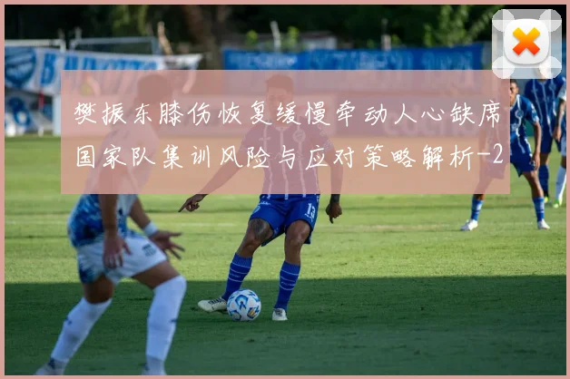 樊振东膝伤恢复缓慢牵动人心缺席国家队集训风险与应对策略解析