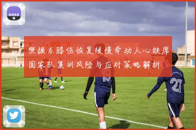 樊振东膝伤恢复缓慢牵动人心缺席国家队集训风险与应对策略解析