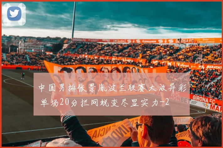 中国男排张景胤波兰联赛大放异彩 单场20分拦网蜕变尽显实力