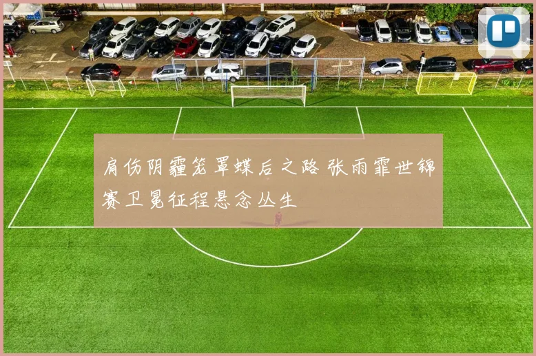 肩伤阴霾笼罩蝶后之路 张雨霏世锦赛卫冕征程悬念丛生